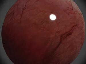 eye 3D Model