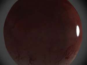eye 3D Model