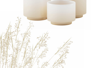 vase set with dry grass 3Dモデル