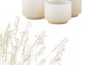 vase set with dry grass 3D Model