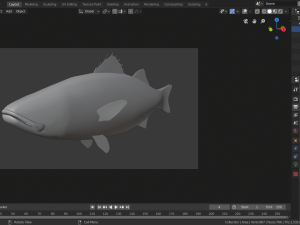 seabass fish Modèle 3D