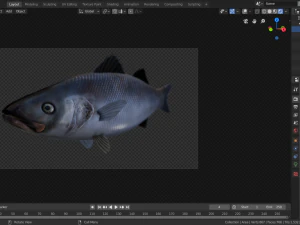 seabass fish 3D Model