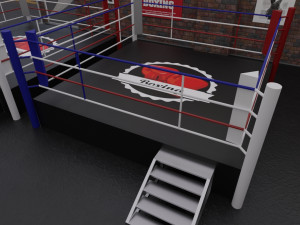 boxing hall - training gym interior Modèle 3D
