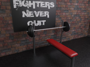 boxing hall - training gym interior Modèle 3D