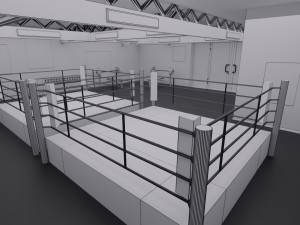 boxing hall - training gym interior Modèle 3D