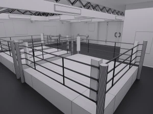boxing hall - training gym interior 3D Model