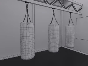 boxing hall - training gym interior 3D Model