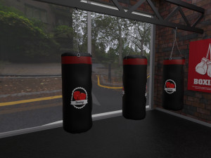 boxing hall - training gym interior Modèle 3D