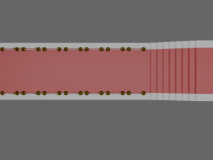 red carpet with golden barriers Model 3D