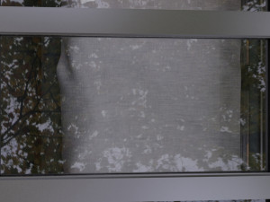 hidden bedroom in nature 3D 모델