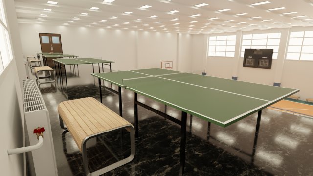 Tt court top