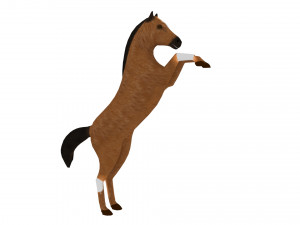 hind horse 3D 모델