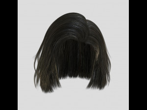 woman hairstyle 3D 모델
