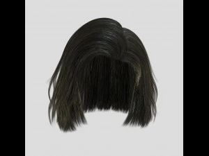 woman hairstyle 3D Model