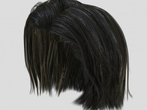 woman hairstyle 3D 모델