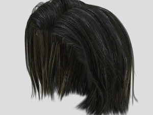 woman hairstyle 3D Model