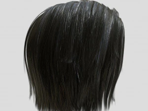 woman hairstyle 3D Model