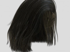 woman hairstyle 3D Model