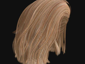woman hairstyle 3D Model