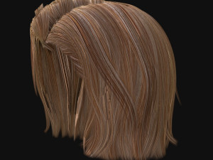 woman hairstyle 3D Модель