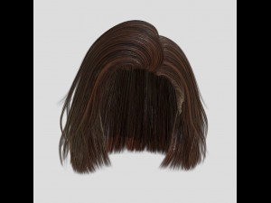 woman hairstyle Model 3D