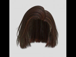 woman hairstyle 3D Model