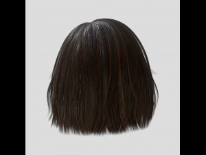 woman hairstyle 3D Model