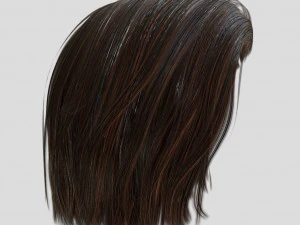 woman hairstyle 3D Model