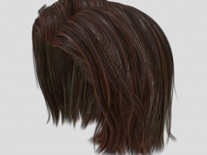 woman hairstyle Model 3D