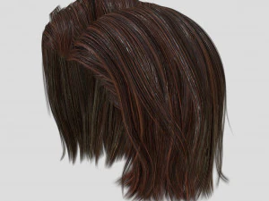 woman hairstyle 3D Model
