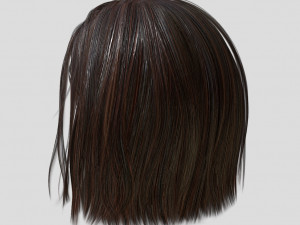 woman hairstyle Model 3D