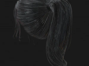 woman hairstyle 3D Model