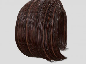 woman hairstyle 3D Model
