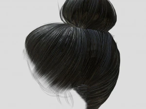 woman hairstyle 3D Model