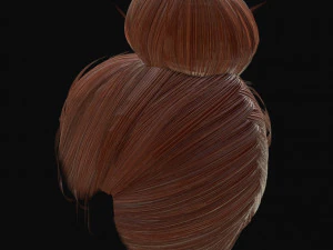 woman hairstyle 3D Model