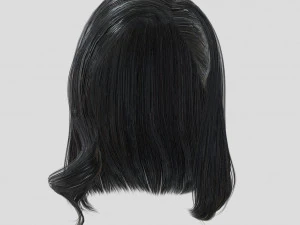 woman hairstyle 3D Model