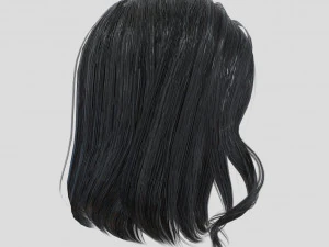 woman hairstyle 3D Model