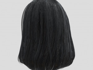 woman hairstyle 3D Modell