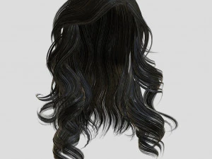 woman hairstyle 3D Model