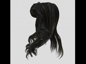 woman hairstyle 3D Model