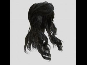 woman hairstyle Modello 3D