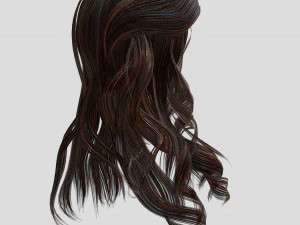 woman hairstyle 3D Model