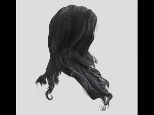 woman hairstyle 3D Model