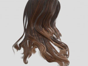 woman hairstyle 3D Model