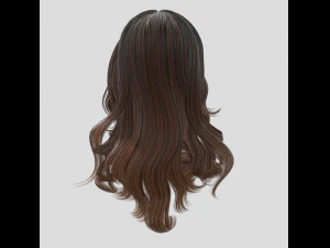 woman hairstyle 3D Model