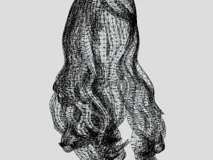 woman hairstyle 3D Model