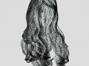 woman hairstyle 3D Model