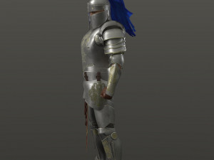 special knight Modelo 3D