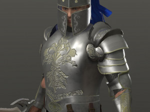 special knight Modelo 3D