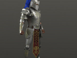 special knight Modelo 3D